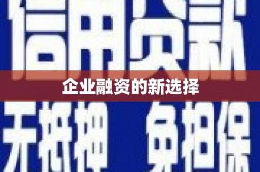 保税港区企业融资的新选择