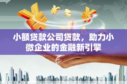 保税港区小额贷款公司贷款，助力小微企业的金融新引擎