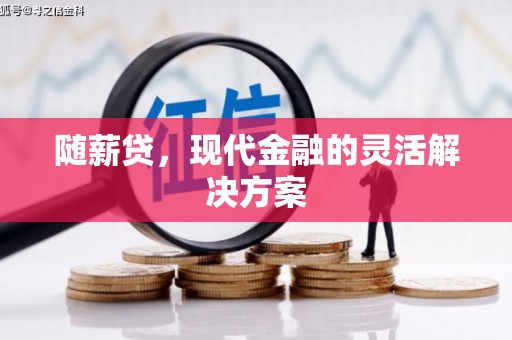 保税港区随薪贷，现代金融的灵活解决方案
