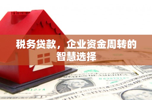 保税港区税务贷款，企业资金周转的智慧选择