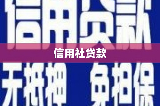 保税港区信用社贷款