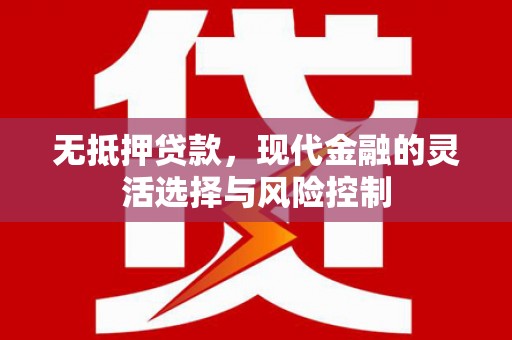 保税港区无抵押贷款，现代金融的灵活选择与风险控制