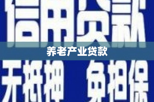 保税港区养老产业贷款