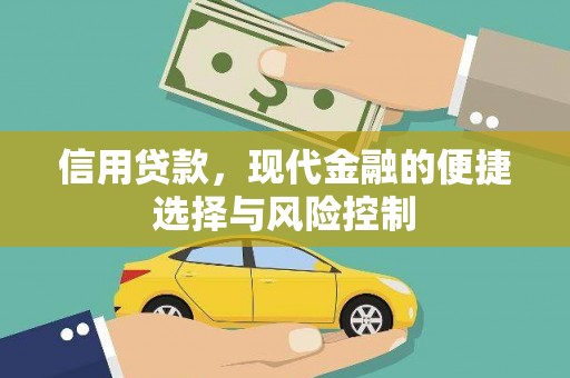 保税港区信用贷款，现代金融的便捷选择与风险控制