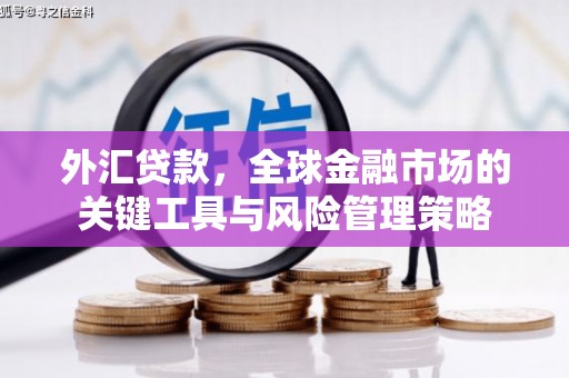 保税港区外汇贷款，全球金融市场的关键工具与风险管理策略