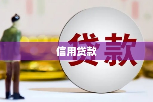 保税港区信用贷款