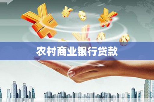 保税港区农村商业银行贷款