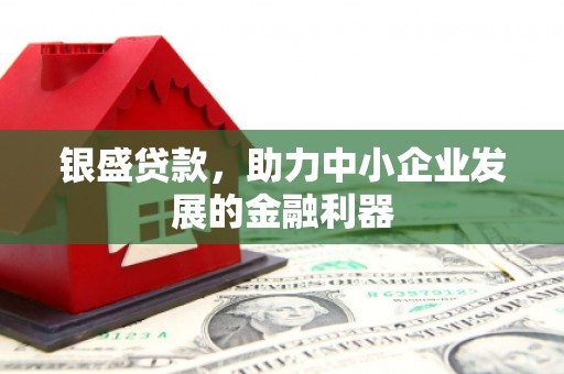 保税港区银盛贷款，助力中小企业发展的金融利器