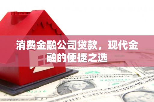保税港区消费金融公司贷款，现代金融的便捷之选