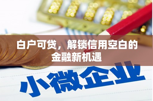 保税港区白户可贷，解锁信用空白的金融新机遇
