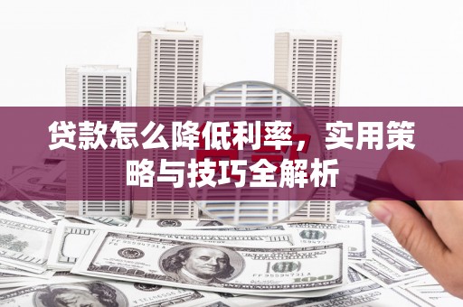 保税港区贷款怎么降低利率，实用策略与技巧全解析