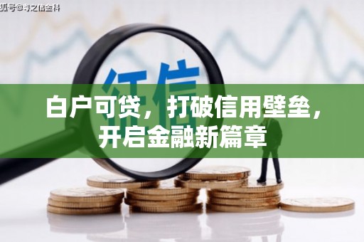保税港区白户可贷，打破信用壁垒，开启金融新篇章
