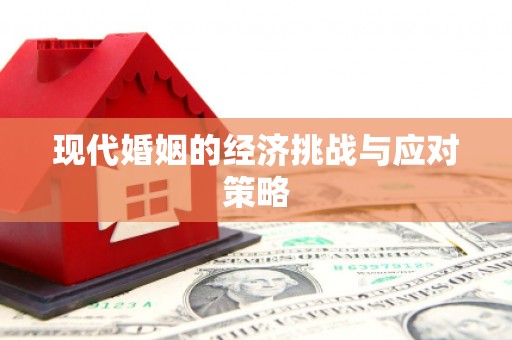 保税港区现代婚姻的经济挑战与应对策略