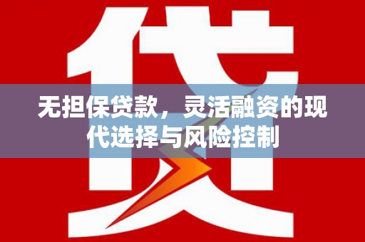 保税港区无担保贷款，灵活融资的现代选择与风险控制