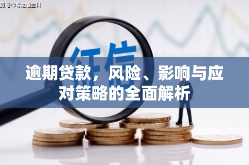 保税港区逾期贷款，风险、影响与应对策略的全面解析