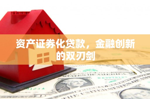 保税港区资产证券化贷款，金融创新的双刃剑