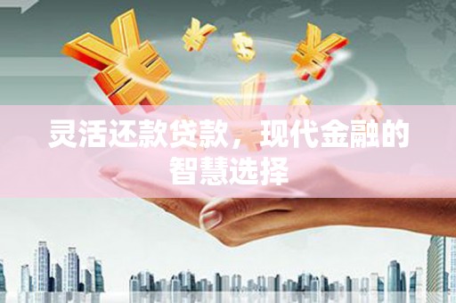 保税港区灵活还款贷款，现代金融的智慧选择