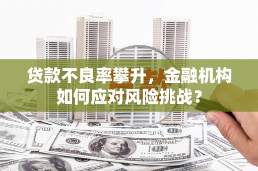 保税港区贷款不良率攀升，金融机构如何应对风险挑战？