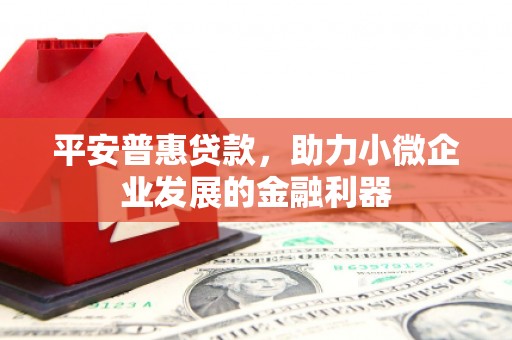 保税港区平安普惠贷款，助力小微企业发展的金融利器