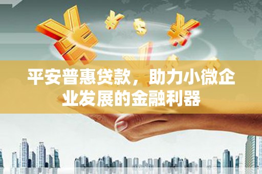 保税港区平安普惠贷款，助力小微企业发展的金融利器
