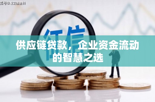 保税港区供应链贷款，企业资金流动的智慧之选