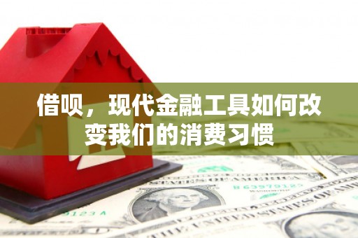保税港区借呗，现代金融工具如何改变我们的消费习惯