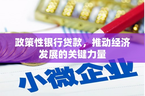 保税港区政策性银行贷款，推动经济发展的关键力量