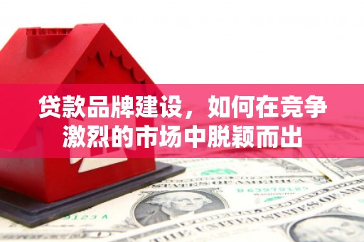 保税港区贷款品牌建设，如何在竞争激烈的市场中脱颖而出