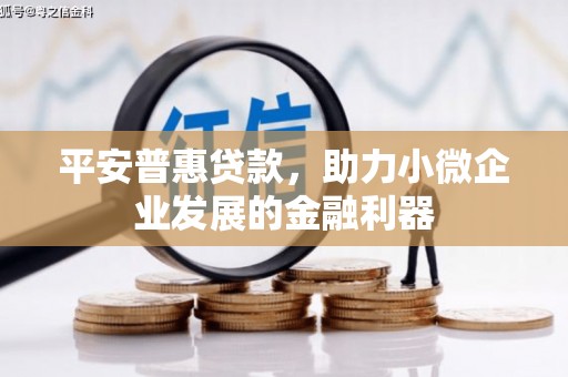 保税港区平安普惠贷款，助力小微企业发展的金融利器