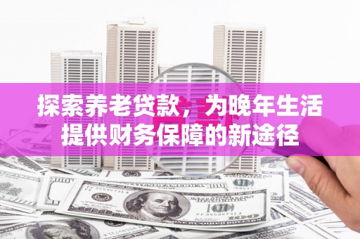 保税港区探索养老贷款，为晚年生活提供财务保障的新途径