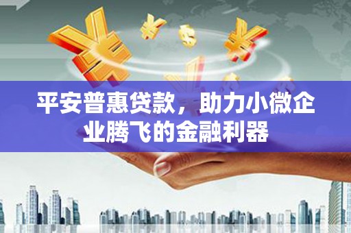 保税港区平安普惠贷款，助力小微企业腾飞的金融利器