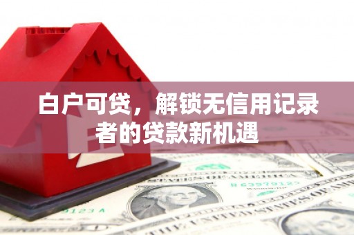 保税港区白户可贷，解锁无信用记录者的贷款新机遇