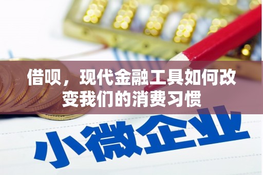 保税港区借呗，现代金融工具如何改变我们的消费习惯