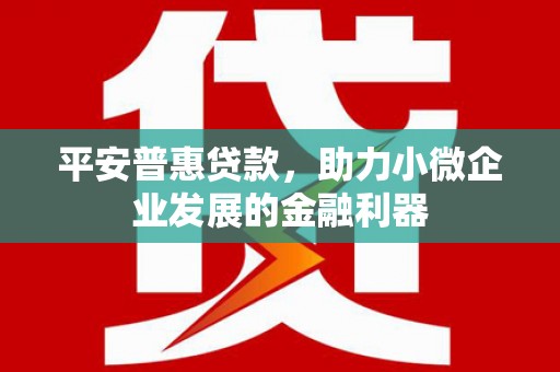 保税港区平安普惠贷款，助力小微企业发展的金融利器