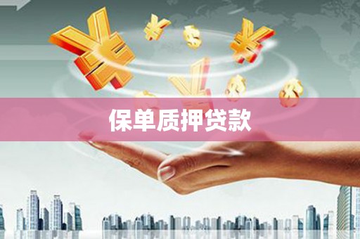保税港区保单质押贷款