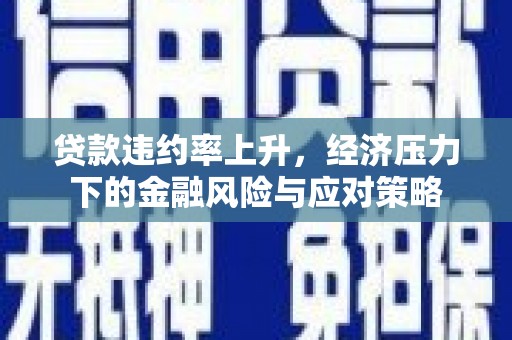 保税港区贷款违约率上升，经济压力下的金融风险与应对策略