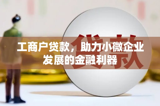 保税港区工商户贷款，助力小微企业发展的金融利器