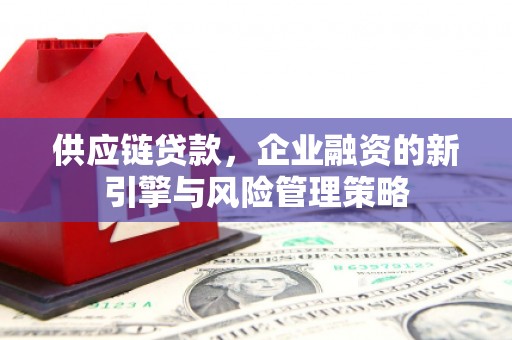 保税港区供应链贷款，企业融资的新引擎与风险管理策略