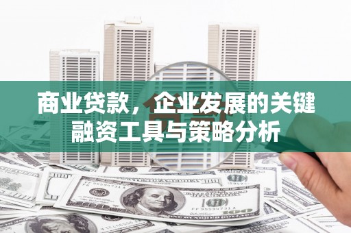 保税港区商业贷款，企业发展的关键融资工具与策略分析