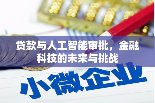 保税港区贷款与人工智能审批，金融科技的未来与挑战