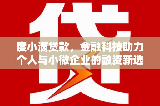 保税港区度小满贷款，金融科技助力个人与小微企业的融资新选择
