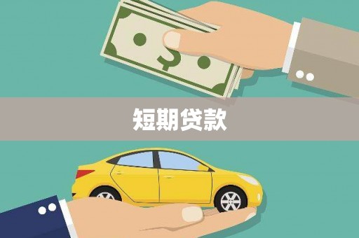 保税港区短期贷款