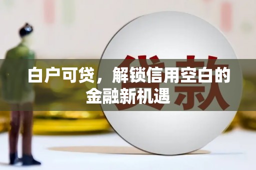 保税港区白户可贷，解锁信用空白的金融新机遇