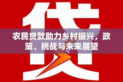 保税港区农民贷款助力乡村振兴，政策、挑战与未来展望
