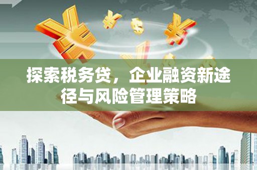 保税港区探索税务贷，企业融资新途径与风险管理策略