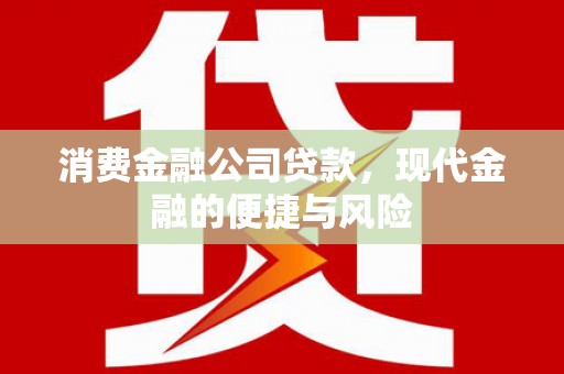 保税港区消费金融公司贷款，现代金融的便捷与风险