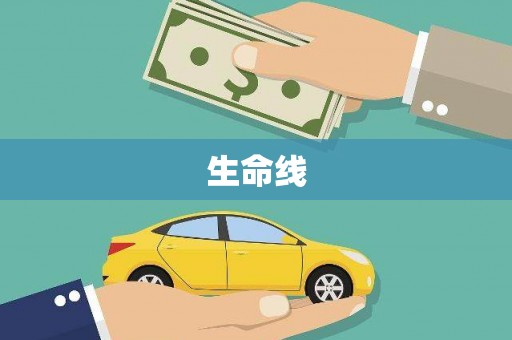 保税港区生命线