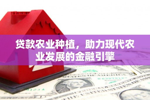 保税港区贷款农业种植，助力现代农业发展的金融引擎