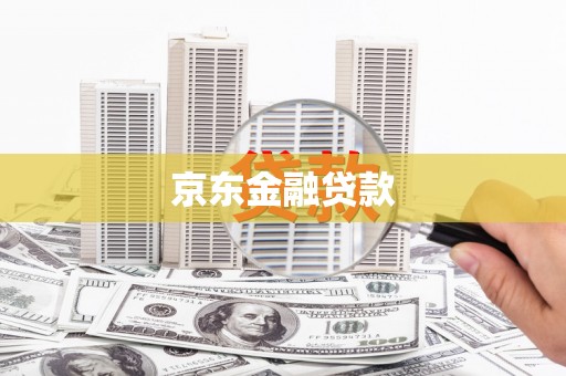 保税港区京东金融贷款