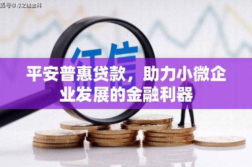 保税港区平安普惠贷款，助力小微企业发展的金融利器